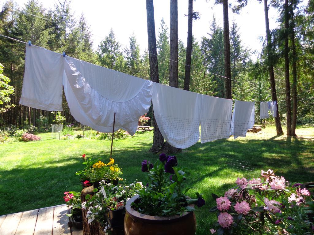 Cedar Song B&B Парксвилл Экстерьер фото